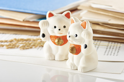 猫。内科·曼纽卡斯