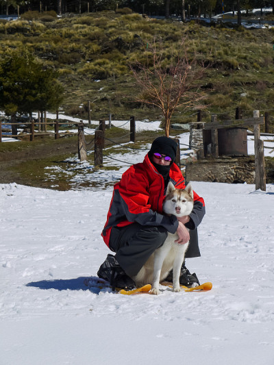 一名年轻的白人男子和西伯利亚哈士奇坐在冬天的森林里的雪地上