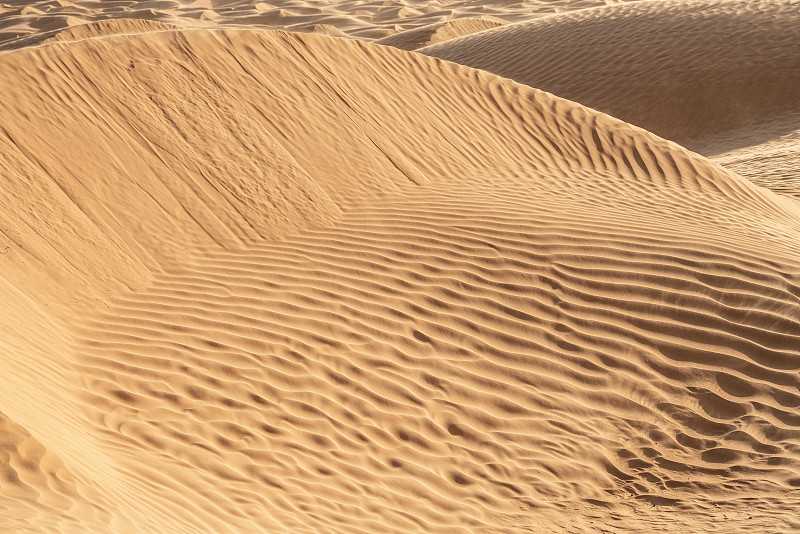 Tunisian Sahara