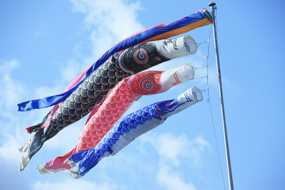 鲤鱼等浮电缆