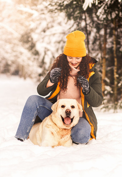 可爱快乐的女孩和一只拉布拉多犬在冬天的雪地里。狗男人的友谊