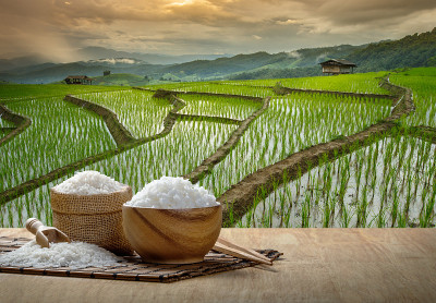茉莉花米饭和米饭在木碗里用筷子放在木桌上与种植园的大米日落