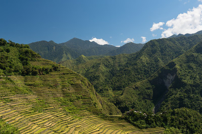 Batad Rice Terraces，巴拿威，菲律宾。