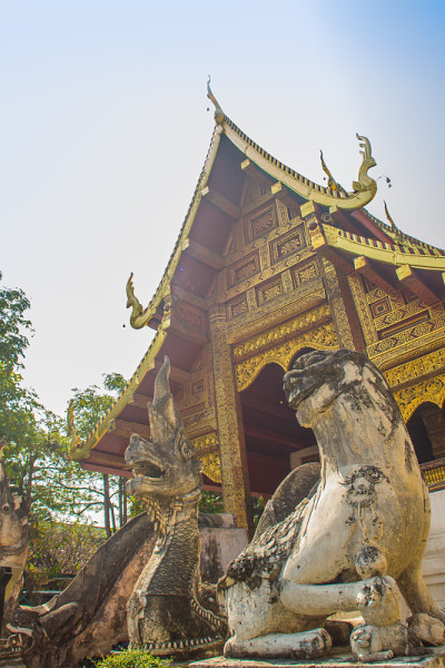 兰那风格的佛教教堂在佛寺(狮子佛)与蓝色的天空背景。Wat Phra Singh是一个重要的佛教寺庙