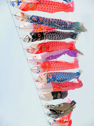 鲤鱼等浮电缆