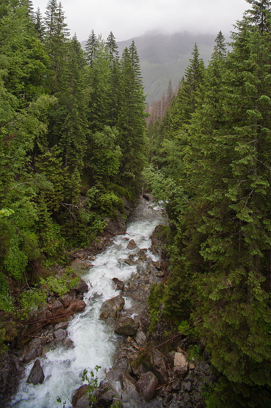 泰特拉山水疗中心Morskie oko。