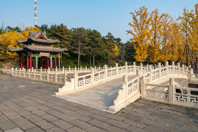 秋天，公园里有中国古建筑的阁楼和银杏树