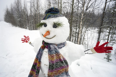 滑稽微笑的雪人站在树林里