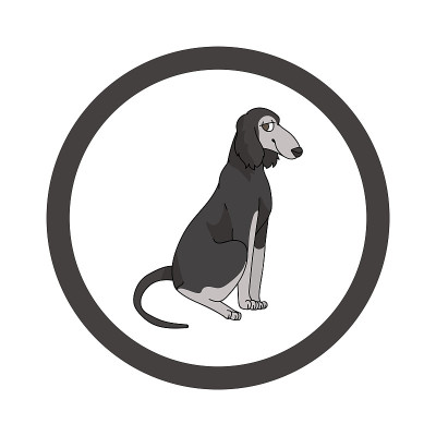 可爱的卡通萨卢基小狗品种矢量剪贴画。纯种犬舍狗品种为狗爱好者。纯种家犬为宠物客厅插图吉祥物。隔离犬猎