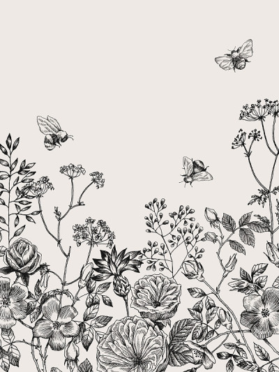 野花盛开枝背景。古董植物手绘插图。春天的花草三叶草，狗玫瑰和大黄蜂。矢量设计。可用于贺卡，婚礼请柬，