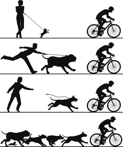狗和自行车