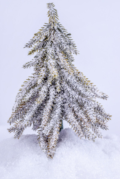圣诞树下满是雪花。圣诞节和新年的概念。圣诞贺卡。