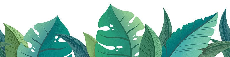 矢量水平无缝模式与绿色时尚的外来棕榈和怪物叶孤立在白色的背景。设计印刷，织物，壁纸，卡片，纺织品