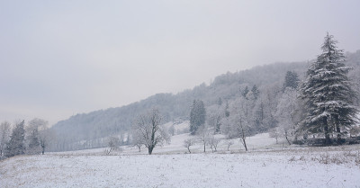雪下的乡村风景