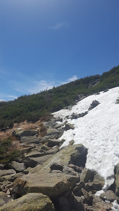 华盛顿山径(图5)