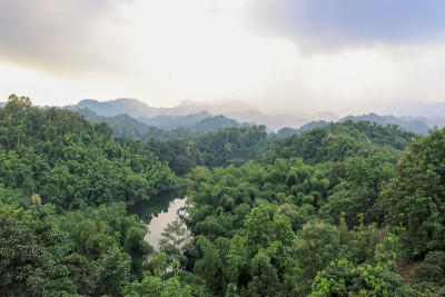 美丽的大自然。孟加拉吉大港,Kaptai。