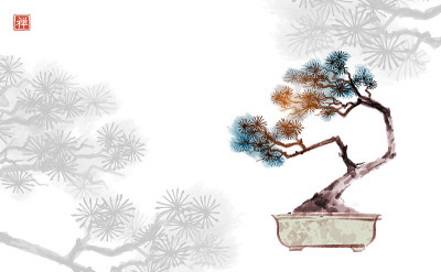 盆景松树用墨水手绘。传统东洋水墨画静美、墨心、墨花。象形文字——禅
