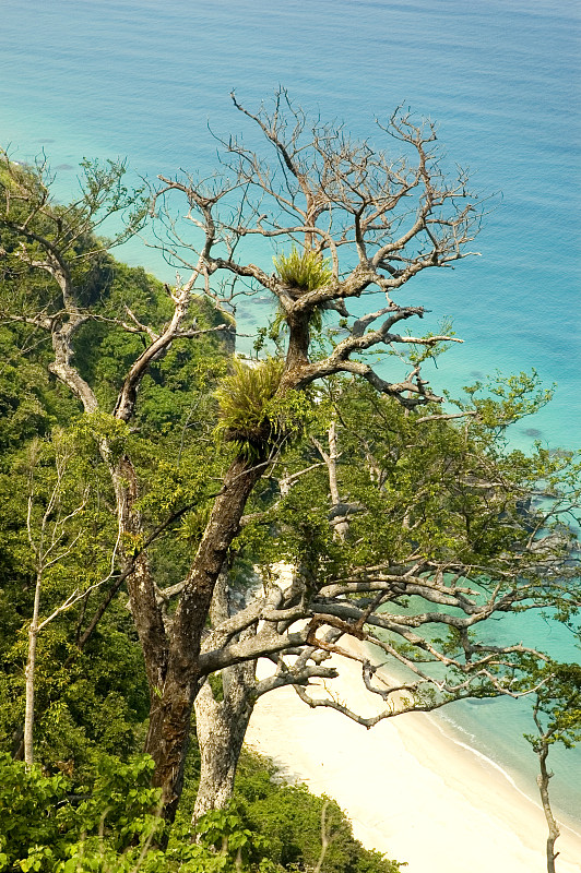 奥罗拉海滩