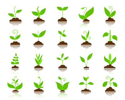 Grass simple flat color icons vector set