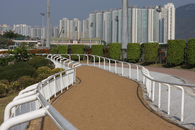 马培训跟踪