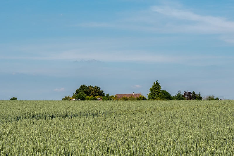 Auvers-sur-Oise