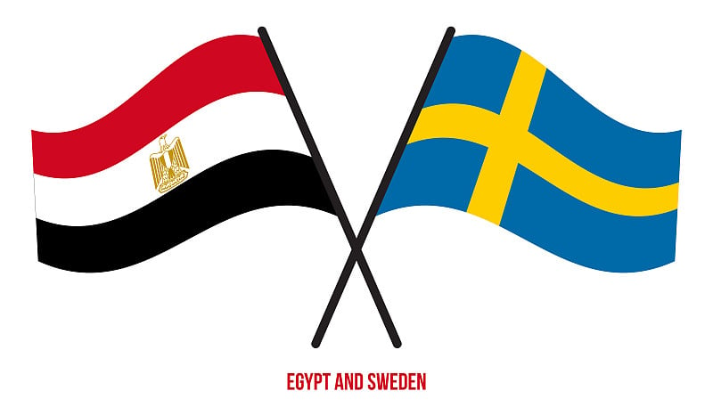 Egypt and Sweden Flags Crossed And Waving Flat Sty