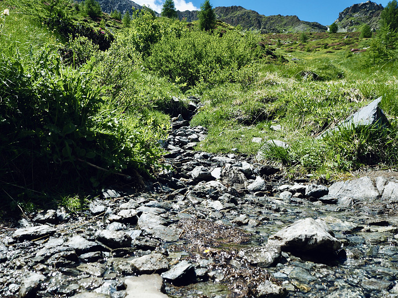 夏季高山景观