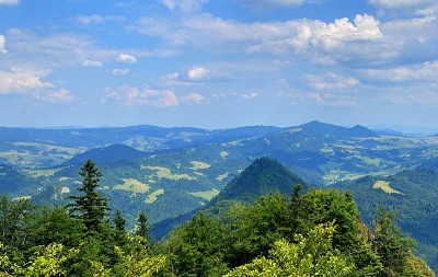 山