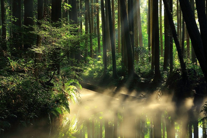 山形县夏河