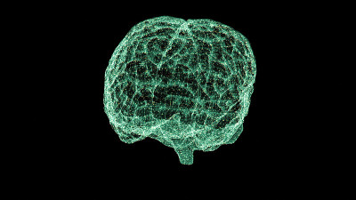 先进人类生物医学诊断的全息显示-大脑