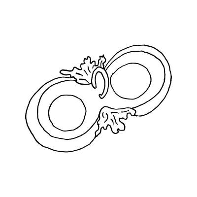 孤立白瓷，股票插图，矢量，手绘，设计元素的印刷，剪贴簿，明信片