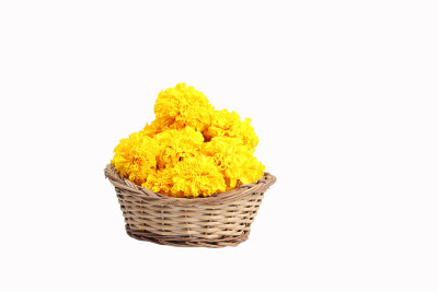 竹篮里的黄色万寿菊花，称为Puja Phool Ki Tokri或Dalia，用于装饰和在节日期间向