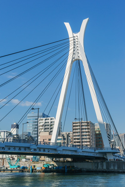 住田河畔，东京