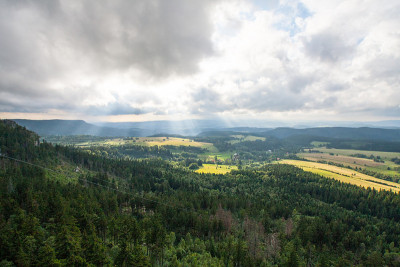 山
