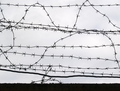 Prickly_wire