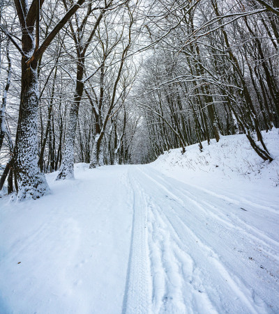 冬天的公园被雪覆盖