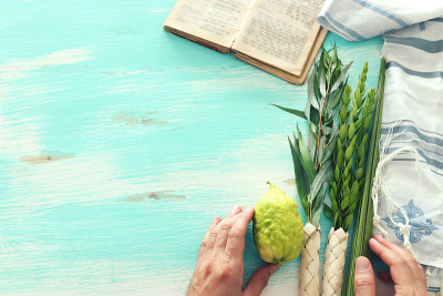 犹太人住棚节。传统符号(四种):Etrog(香橼)、lulav(棕榈枝)、hadas(桃金娘)、ar