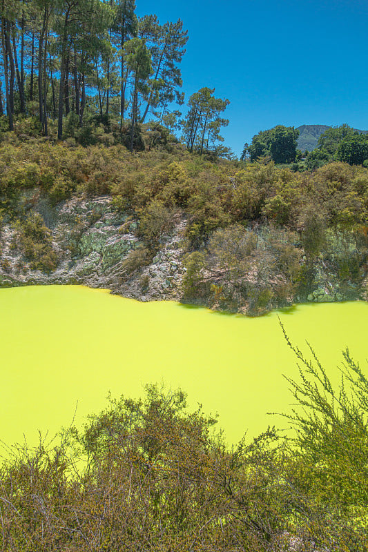 黄色霓虹色硫磺池，在Wai-O-Tapu，新西兰