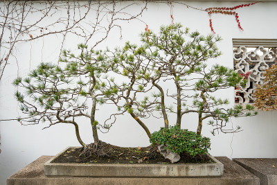 中国苏州周庄古镇风光