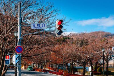 本町路行人十字路口的红绿灯