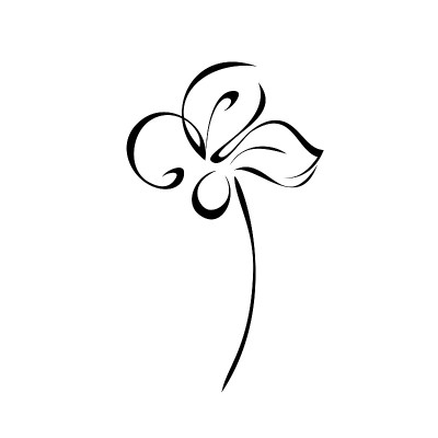 盛开的花143