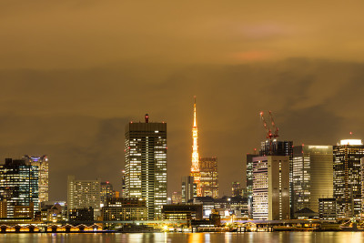 从海边公园看到的东京湾地区的夜景