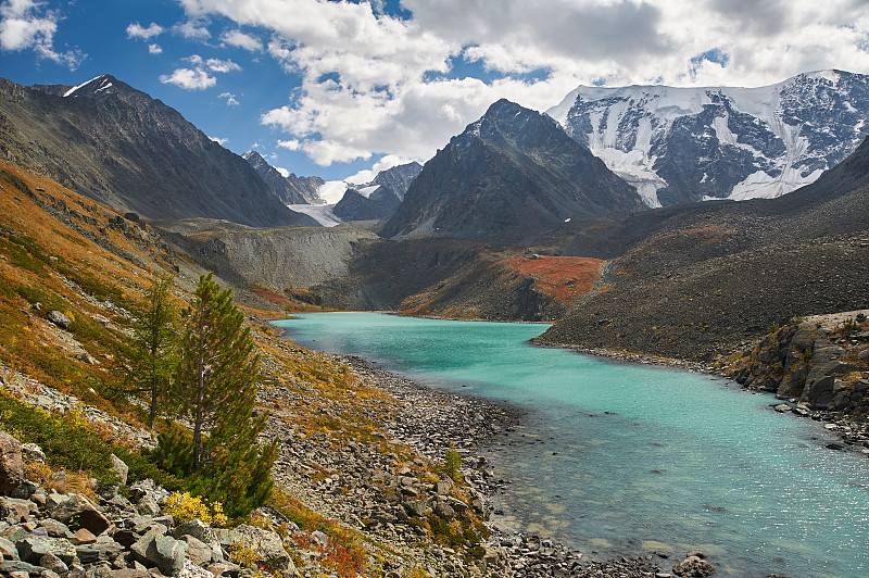 美丽的秋景，阿尔泰山俄。