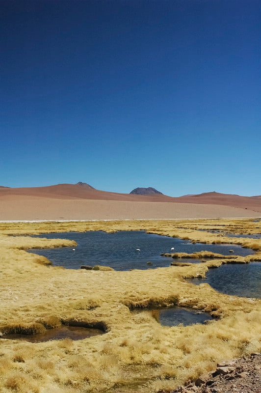 在科迪勒拉山脉美丽的风景