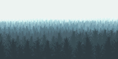 森林与雾