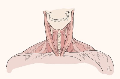 脖子