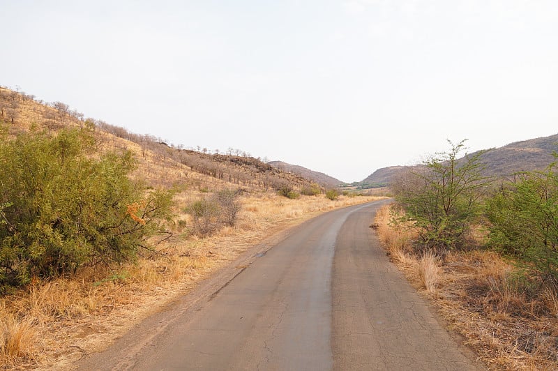 南非Pilanesberg国家公园的道路。