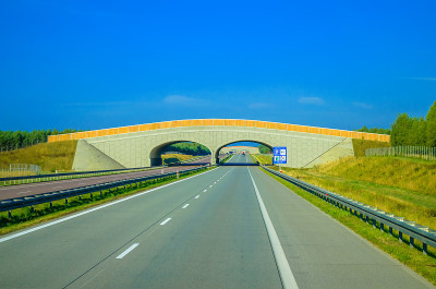 在高速公路上