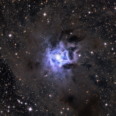 虹膜星云- ngc7023