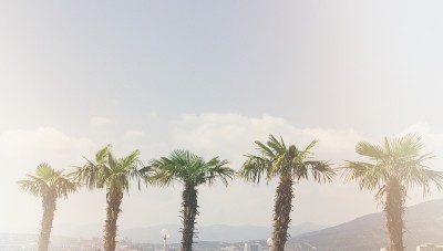 手掌的复古风格